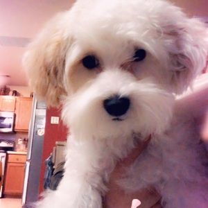 Meet your Posher, Mildred